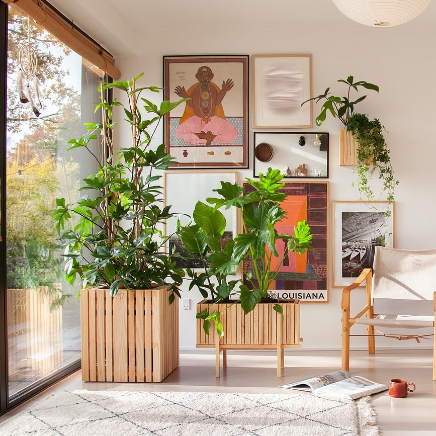 Soporte StandWIDE, negro, madera de fresno, para maceta de autorriego GrowWIDE