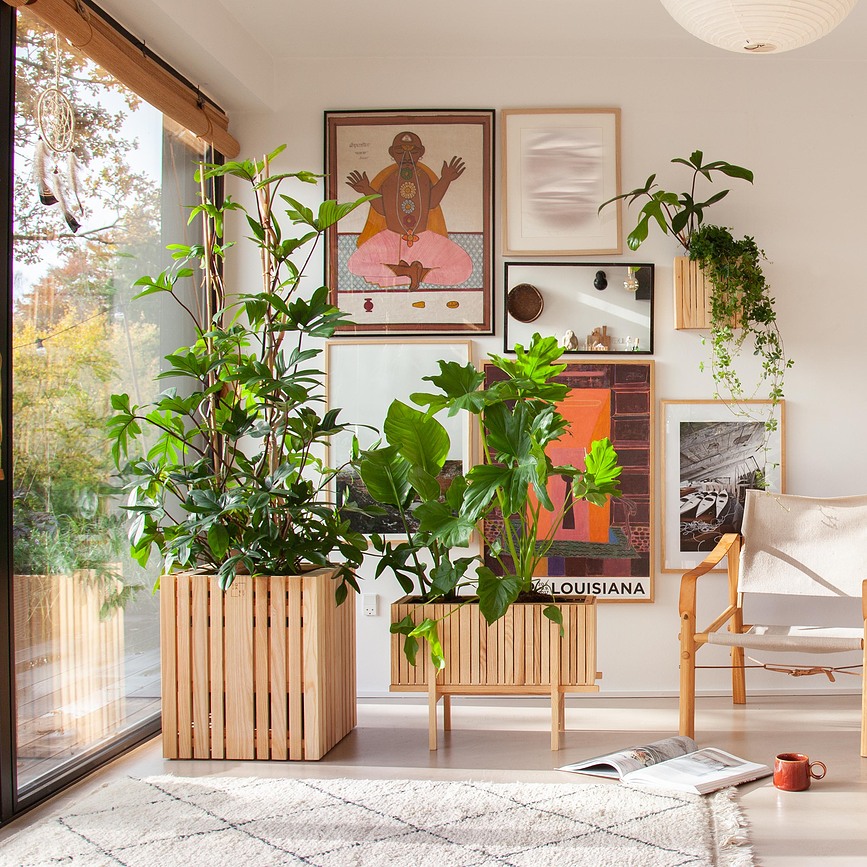 StandWIDE Stalak za samozalijevajuću posudu GrowWIDE crni jasen