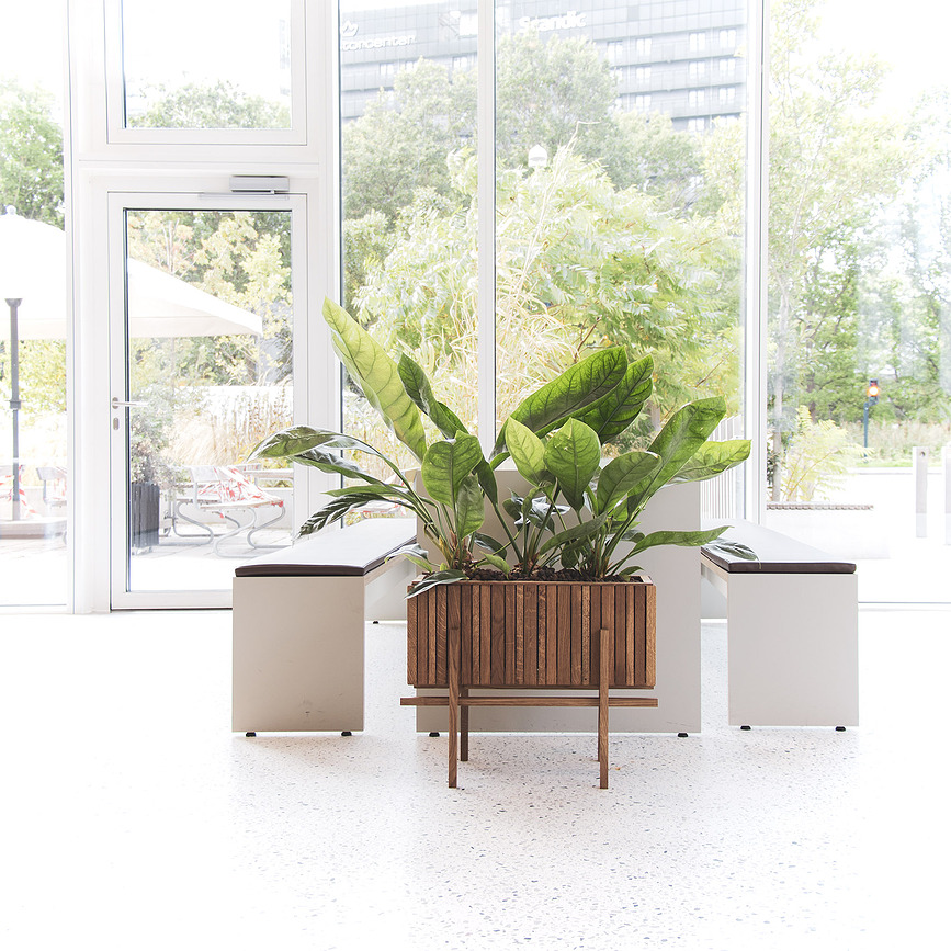 StandWIDE Support pour pot auto-arrosant GrowWIDE, frêne, noir