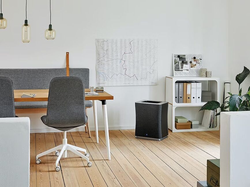 Roger Čistilec zraka, velik, črn