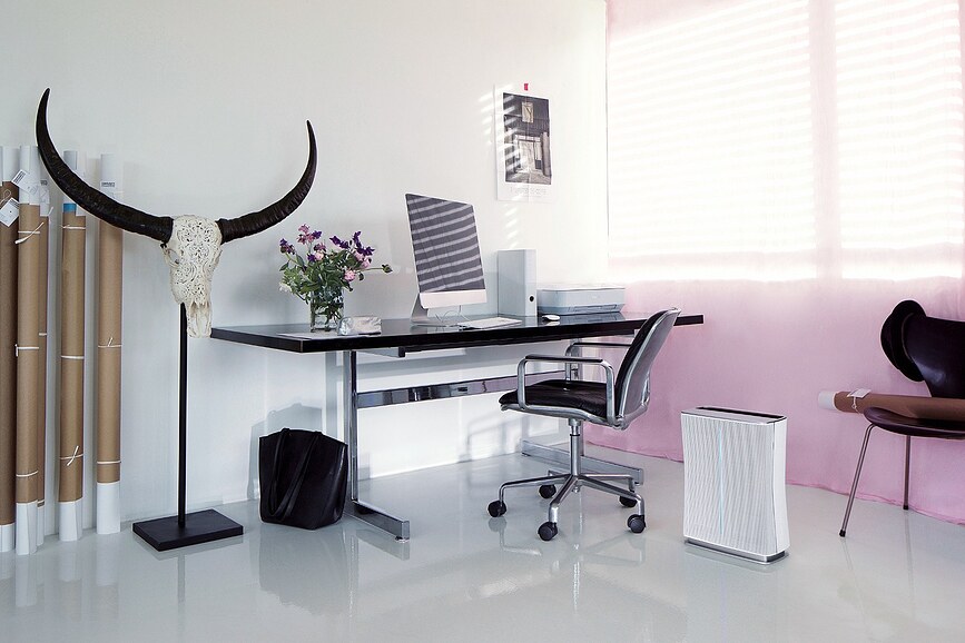 Roger Čistilec zraka