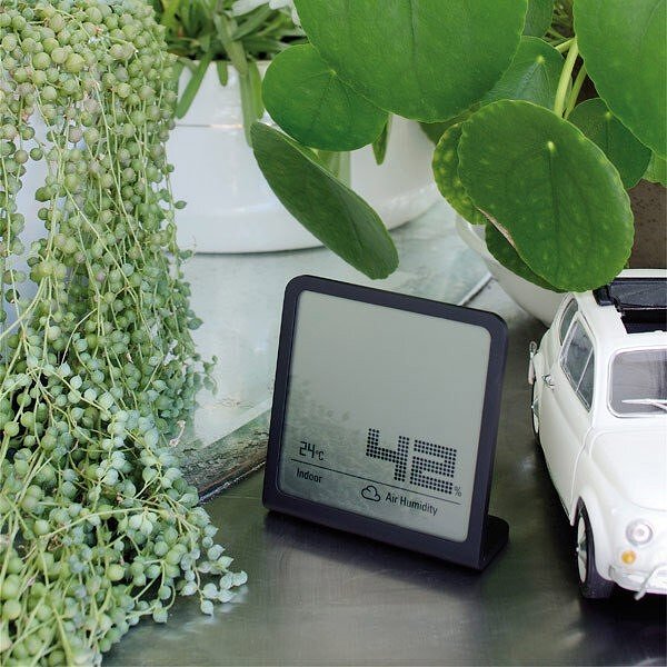 Selina Hygromètre, noir