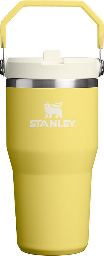 Iceflow 2.0 Thermal Mug with Handle and Straw, Daffodil, 590 ml