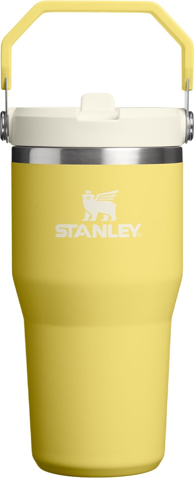 Iceflow 2.0 Thermobecher mit Griff und Strohhalm, Daffodil, 590 ml