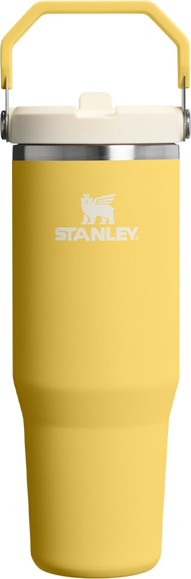 IceFlow 2.0 Thermobecher mit Griff und Strohhalm, Daffodil, 890 ml