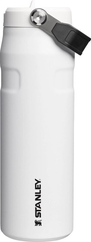 IceFlow Chalk Thermoflasche mit Griff 710 ml
