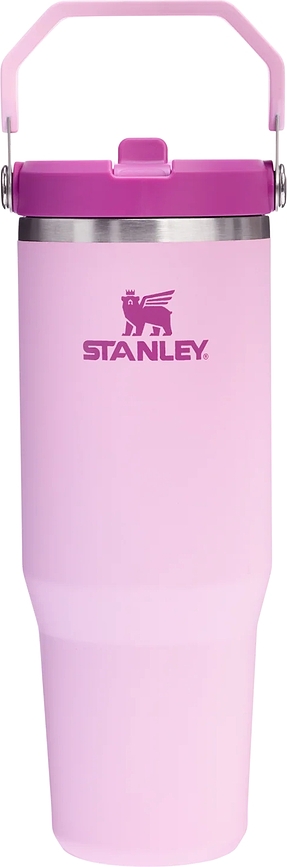 IceFlow Mug Isotherme avec poignée et paille, 890 ml