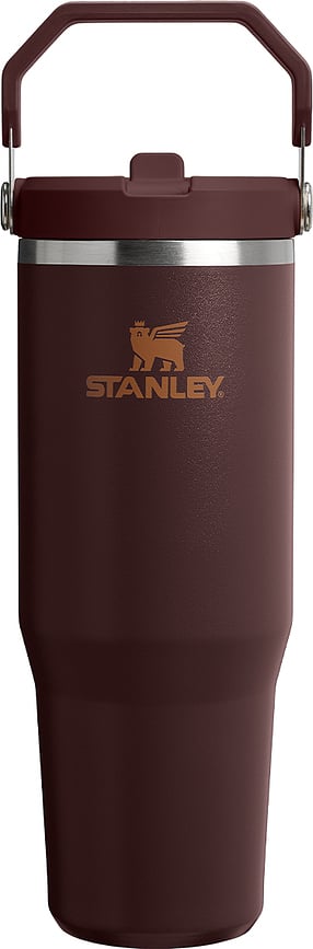 IceFlow termisk mugg med handtag och sugrör Coffee 890 ml