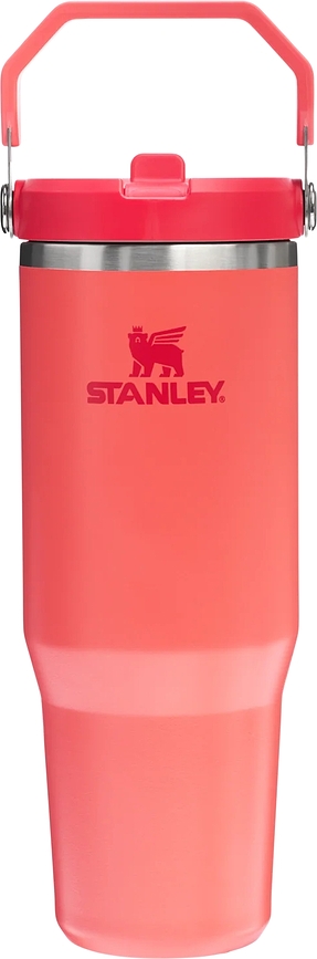 IceFlow Termo lonček z ročajem in slamico, 890 ml, Hot Coral