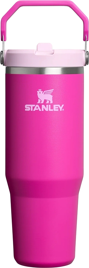 IceFlow Termokrus med håndtag og sugerør, 890 ml, Violet Blossom
