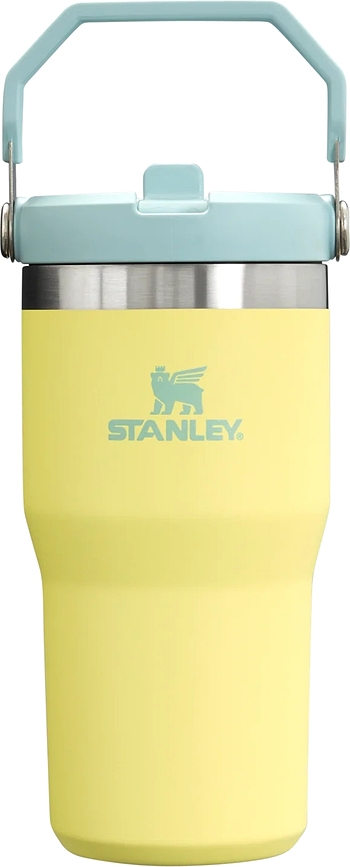 IceFlow Termosmugg med handtag och sugrör 590 ml, pomelo