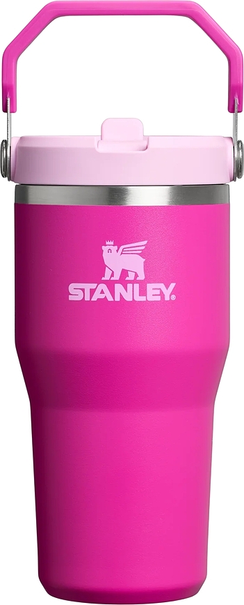 IceFlow Termosmugg med handtag och sugrör 590 ml, Violet Blossom