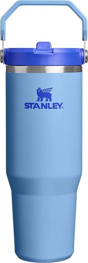 IceFlow Thermal Mug with Handle and Straw, Blue Sky, 890 ml