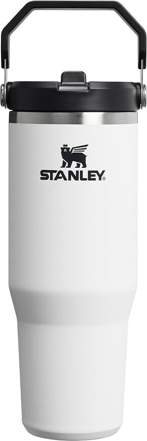 IceFlow Thermal Mug with Handle and Straw, Chalk, 890 ml