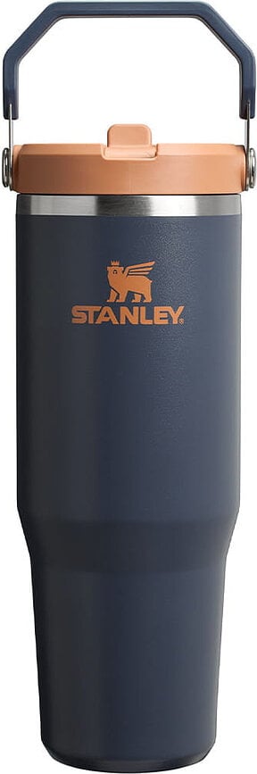 IceFlow Thermal Mug with Handle and Straw, Twilight, 890 ml