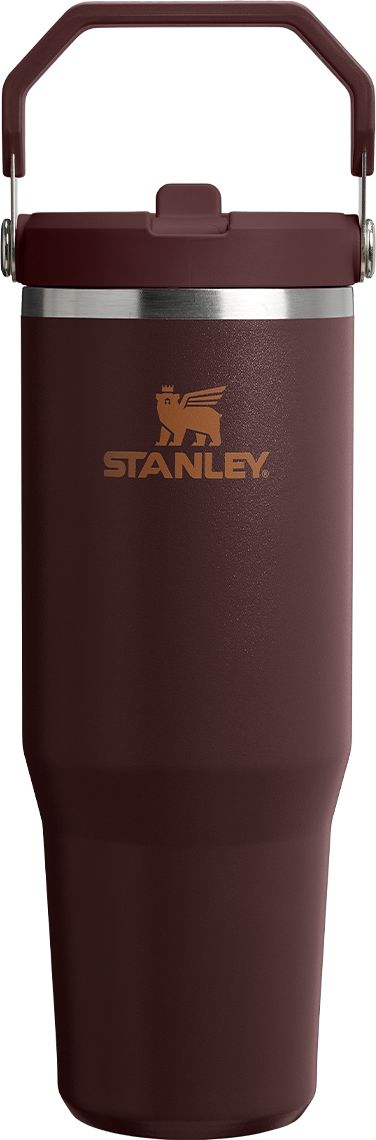IceFlow Thermobecher mit Griff und Strohhalm Coffee 890 ml