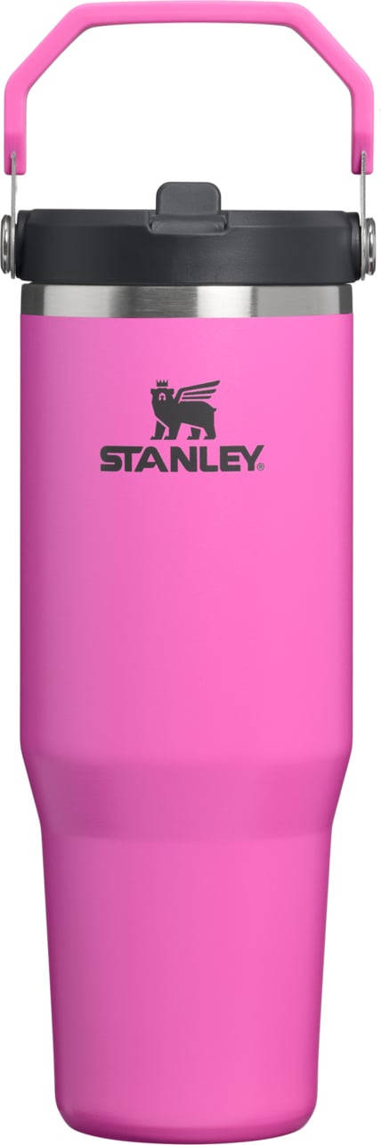 IceFlow Thermobecher mit Griff und Strohhalm Hot Pink 890 ml