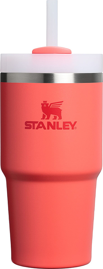 Quencher H2.0 Gobelet Isotherme avec paille, 600 ml, Hot Coral