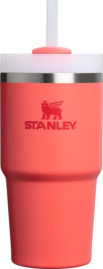 Quencher H2.0 Termo lonček s slamico, 600 ml, hot coral