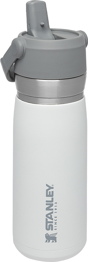 Stanley Termalna steklenica, 650 ml, rumena