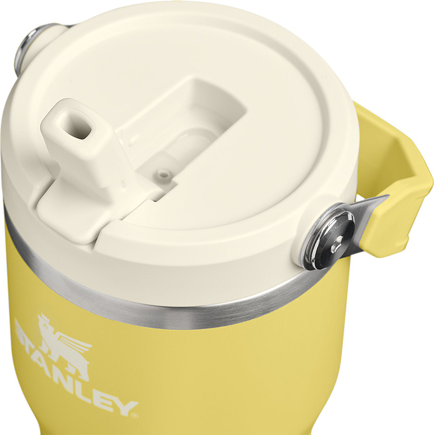 Termalni lonček z ročajem in slamico Iceflow 2.0 Spring Green 590 ml