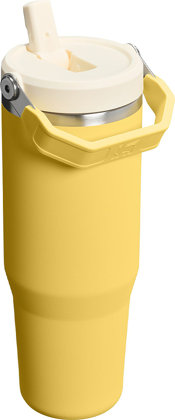 Termalni lonček z ročajem in slamico IceFlow 2.0 Spring Green 890 ml