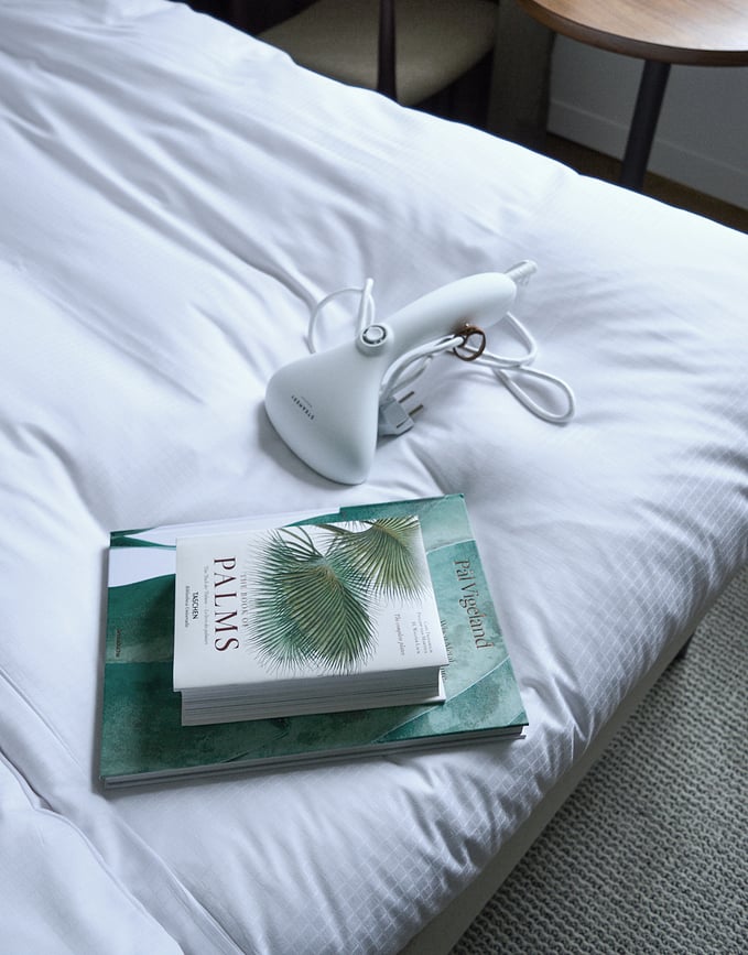 Cirrus 2 Défroisseur Vapeur à main, noir