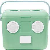 Šaldymo krepšys Box Sounds mėtinės spalvos