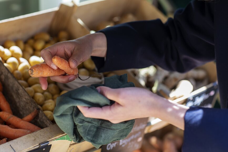 The Organic Company ΤΣΑΝΤΑ για φρούτα ή λαχανικά, L, σκούρο πράσινο