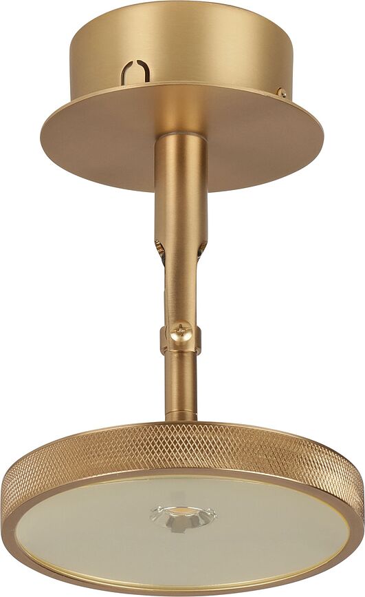 Asteria Spot Plafonnier, noir