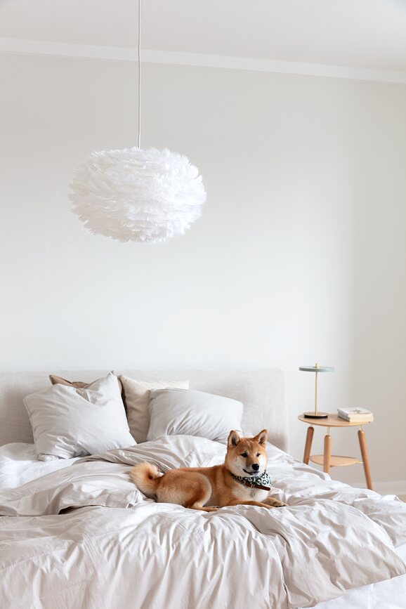 Eos Lampa srednja bijela