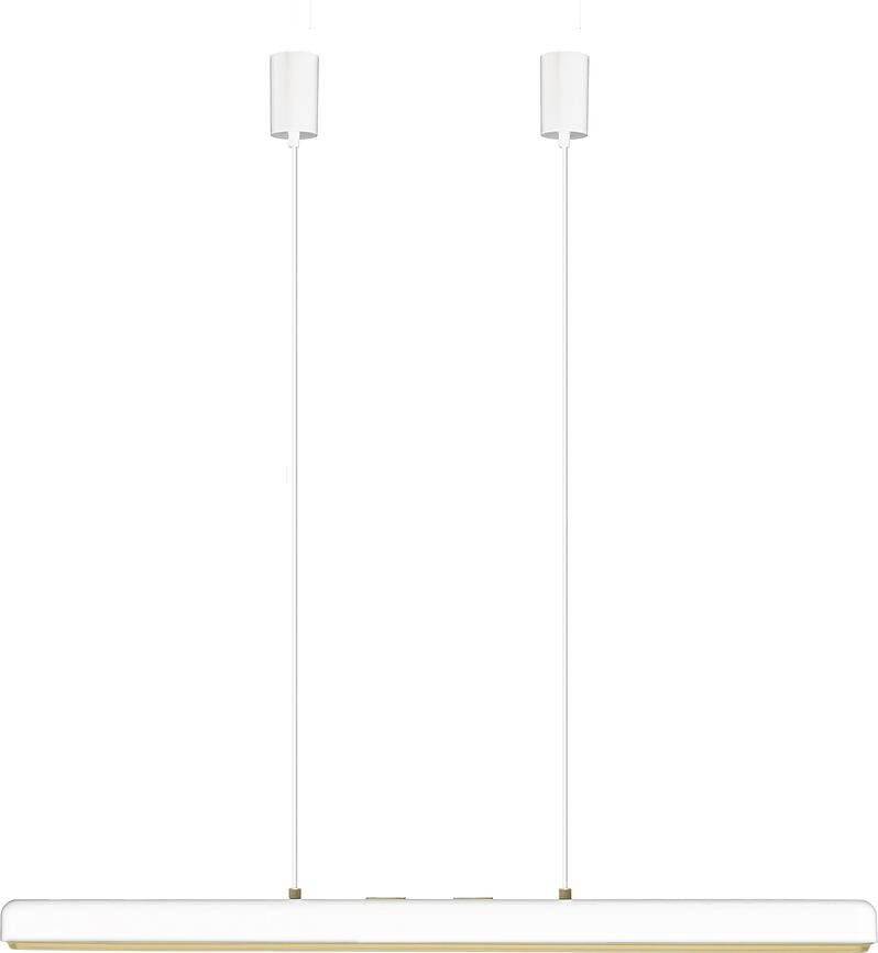 Hazel Branch Μετατροπέας, ντιμαριζόμενος, για Φωτιστικό LED