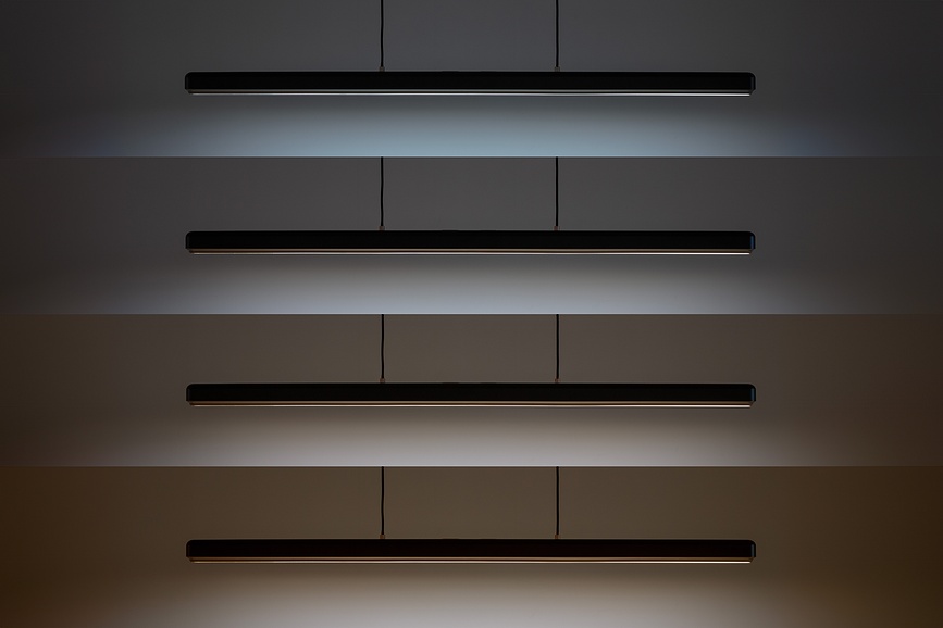 Hazel Branch Suspension, 150 cm, noir et or