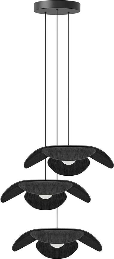 Rosette 1 Suspension pour Lampes Forget Me Not