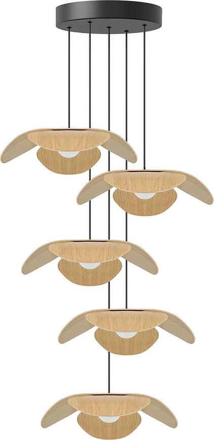 Rosette 1 Suspension pour Lampes Forget Me Not