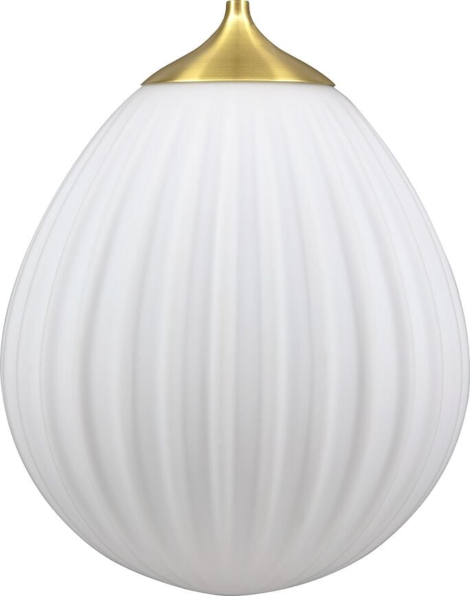 Fijación Around The World, de latón cepillado