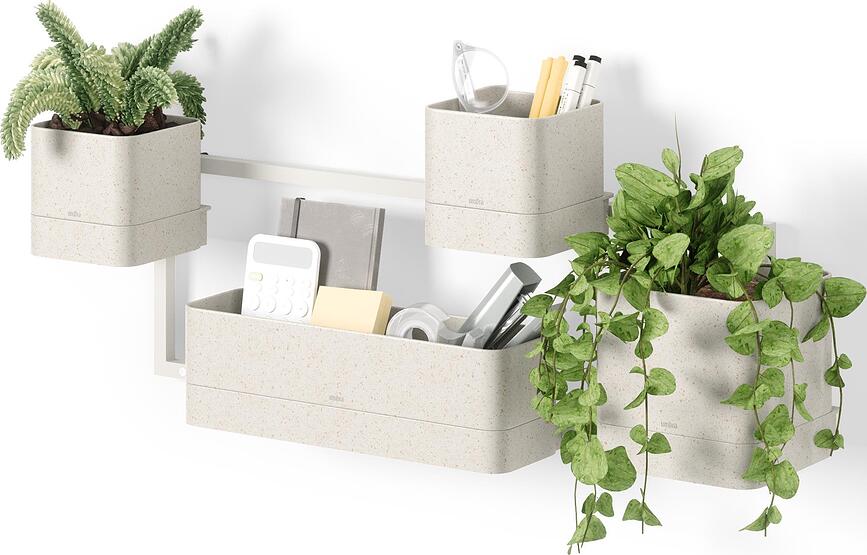 Cubiko Γλάστρα τοίχου, άμμου