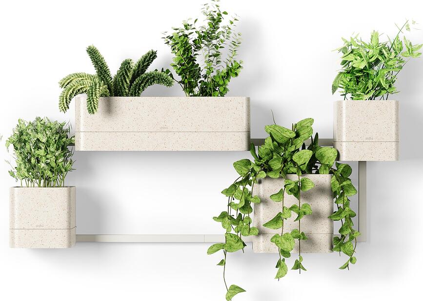 Cubiko Γλάστρα τοίχου, άμμου