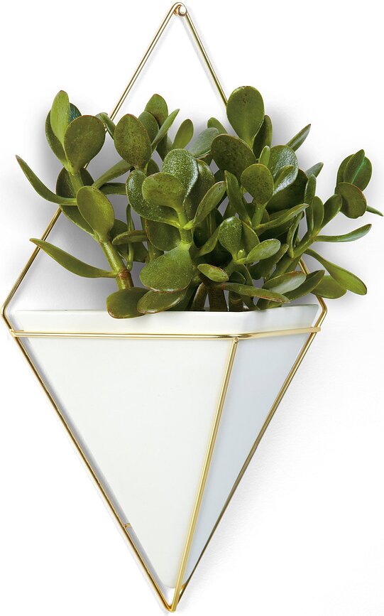 Maceta de pared Trigg L, blanca