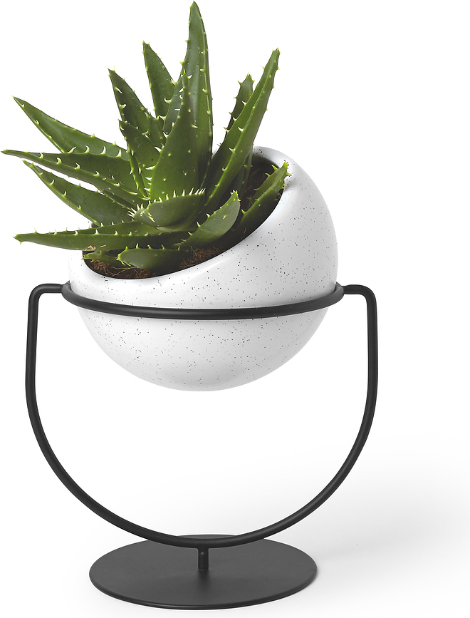 Nesta Blumentopf auf Stnder - Umbra 1009251-748 | FormAdore
