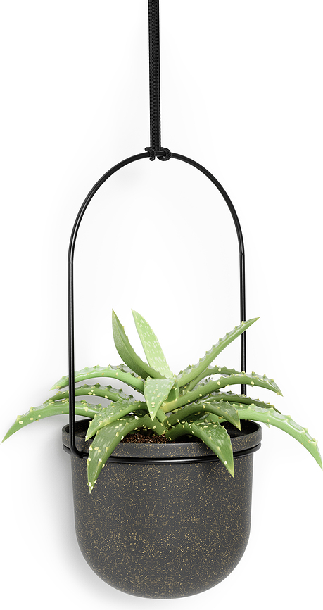 Triflora Pots de fleurs suspendus, noirs, Lot de 5