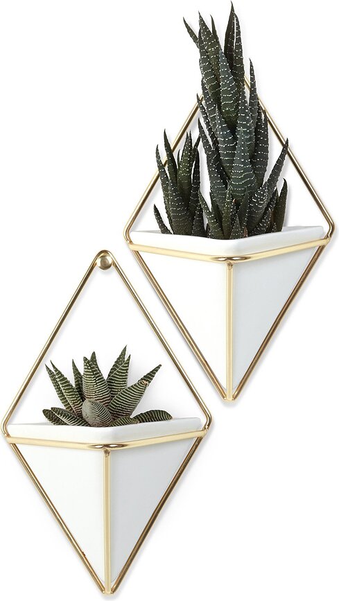 Trigg Cvetlični lonci stenski, S, bež, 2 kosa