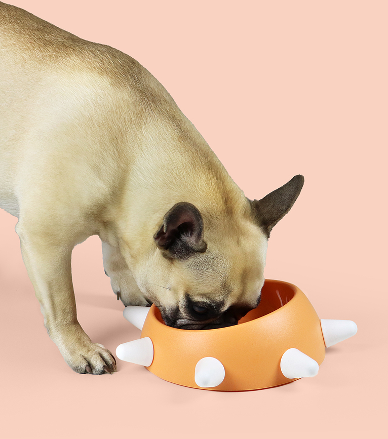 Boss Zdjela za psa 500 ml ružičasta