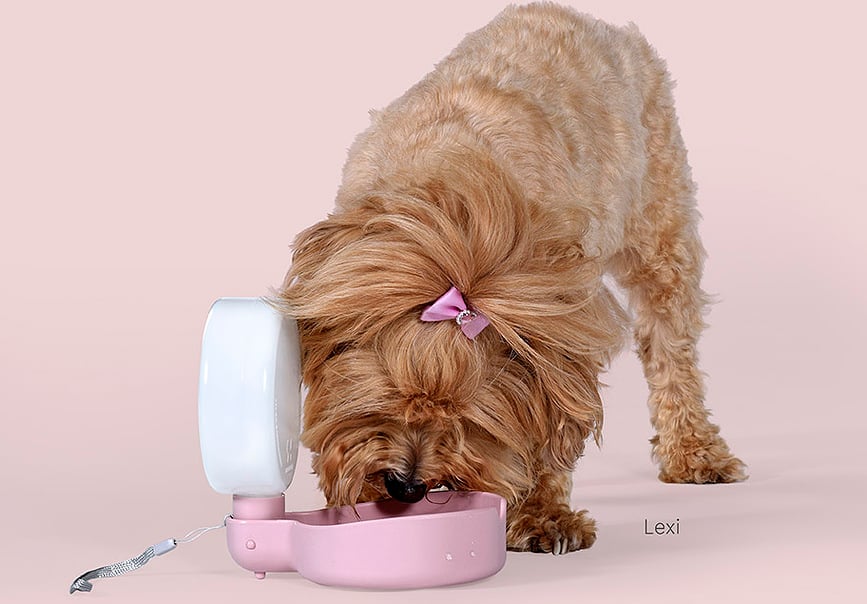 Botella de Agua para Perro Pingui, 250 ml, azul