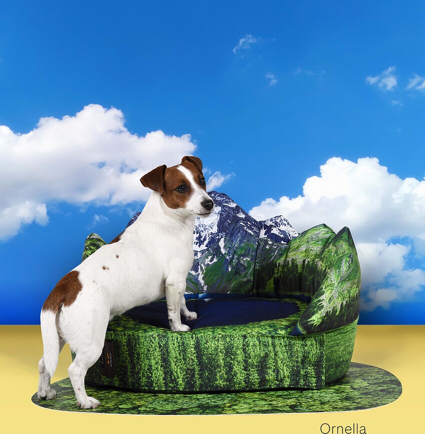 Cama para Perro con esterilla Seletti New York, Set de 2 piezas