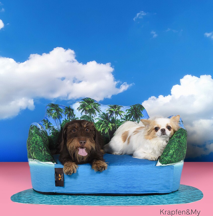 Cama para Perro con esterilla Seletti New York, Set de 2 piezas