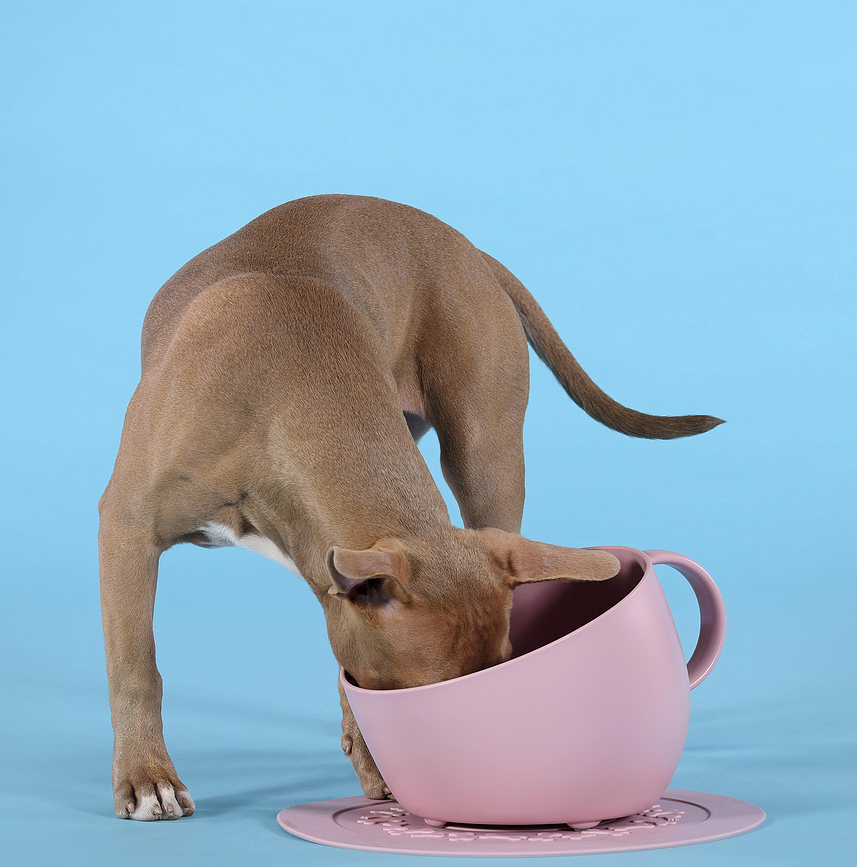 Comedero para perro Cup, 2,5 L, topo