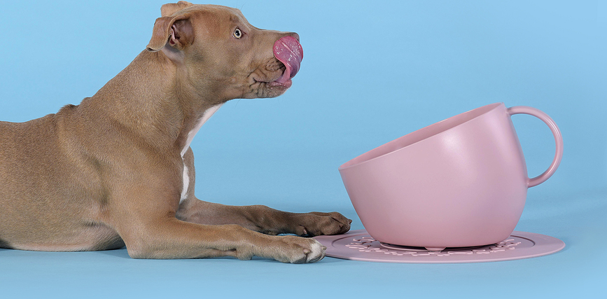 Comedero para perro Cup, 2,5 L, topo