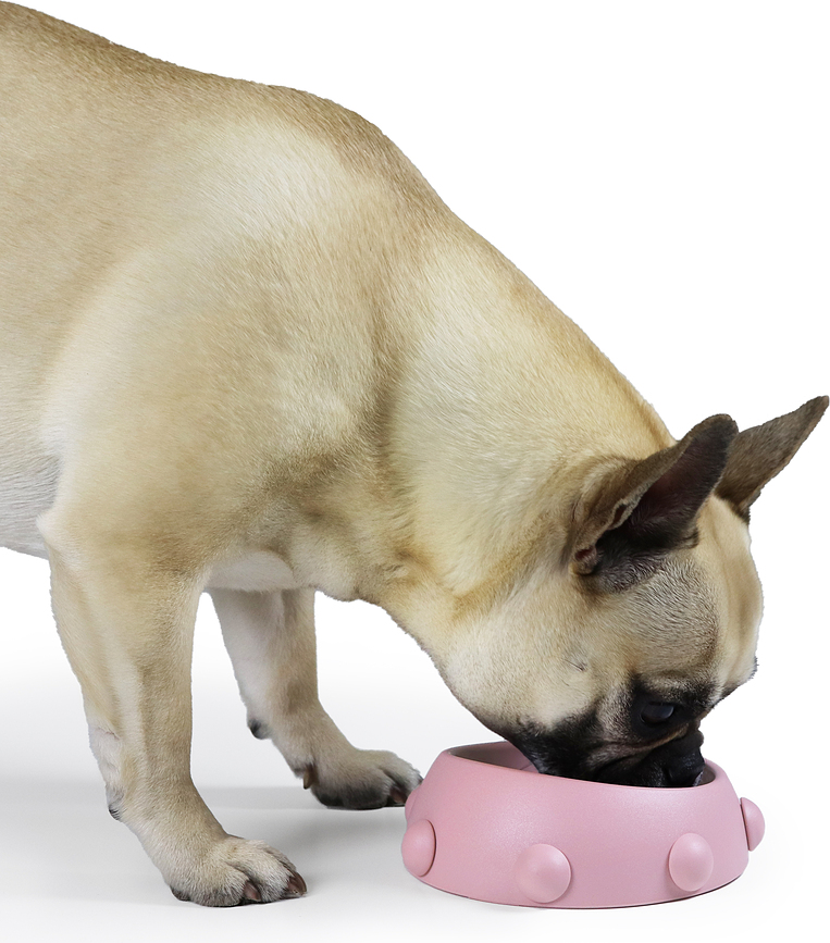 Cuenco para perro o gato Boss Nano, 160 ml, rosa