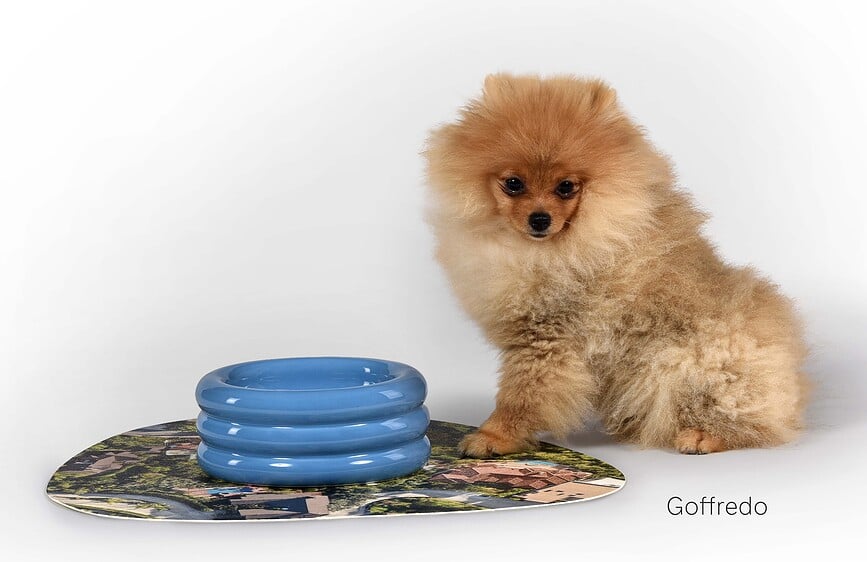 Comedero para perro Seletti DoggyMood, 300 ml